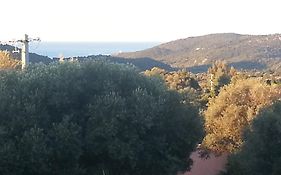 Gite Tomasini