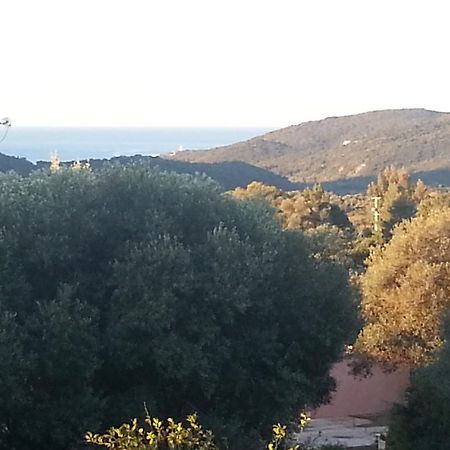 Gite Tomasini Monacia d'Aullena Esterno foto