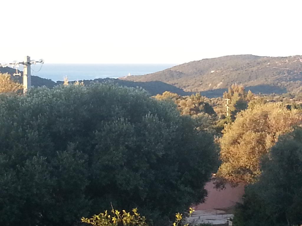 Gite Tomasini Monacia d'Aullena Esterno foto
